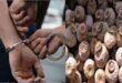 थाना रिंगनोद पुलिस द्वारा 62 किलो 650 ग्राम डोडाचुरा के साथ दो आरोपियों को किया गिरफ्तार,