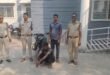 बरखेड़ा कला पुलिस ने महिला से मंगलसूत्र झपटने का प्रयास करने वाले आरोपी को किया गिरफ्तार